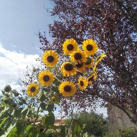 مبيت وإفطار La Bernardiere Les Tournesols المظهر الخارجي الصورة