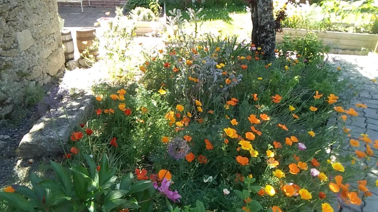 مبيت وإفطار La Bernardiere Les Tournesols المظهر الخارجي الصورة